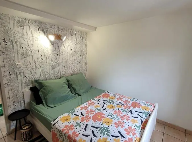 Cosy En Centre Montauban